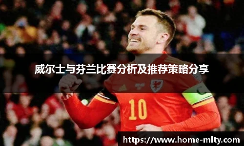 威尔士与芬兰比赛分析及推荐策略分享